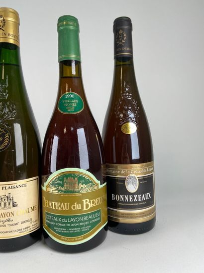 Panachage du Layon :
- BONNEZEAUX. Domaine...