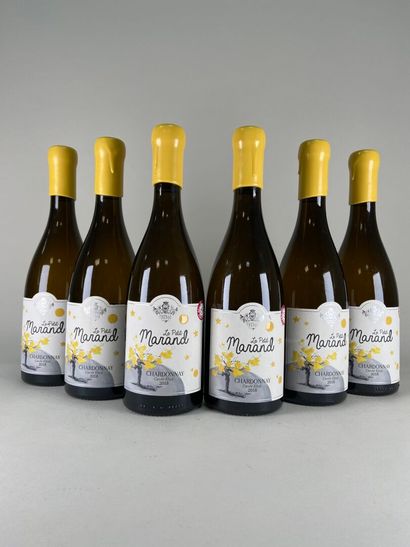 VIN DE PAYS CHARANTAIS. Papin family. Le...
