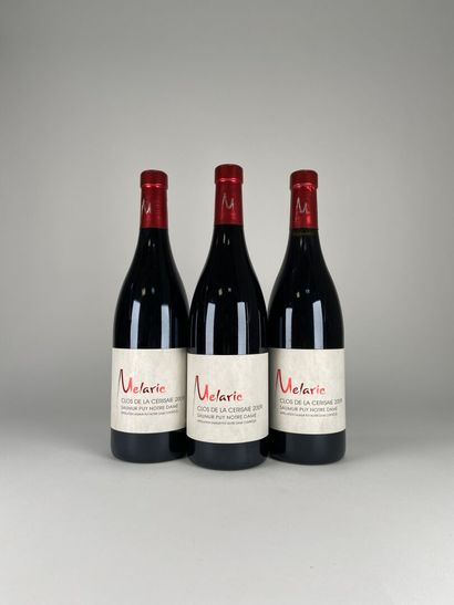 SAUMUR PUY NOTRE DAME. Domaine Mélaric. Clos...