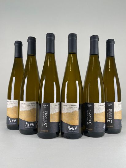 ALSACE. Domaine Mann - Vignoble des 3 Terres....