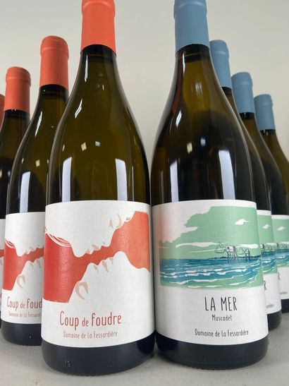MUSCADET. Domaine de la Fessardière.
- Coup...