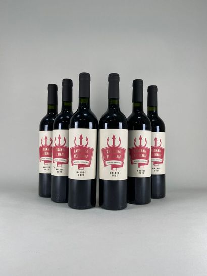 MENDOZA. Garganta Del Diablo. Malbec. 2021....