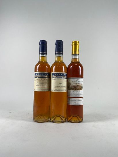 PACHERENC DU VIC BILH. Domaine Berthoumieu....