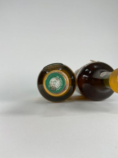 CHATEAU CHALON. Domaine Jean Macle. 1995....