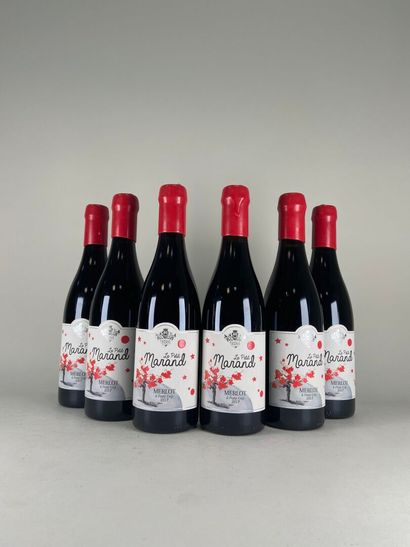 VIN DE PAYS CHARANTAIS. Papin family. Le...