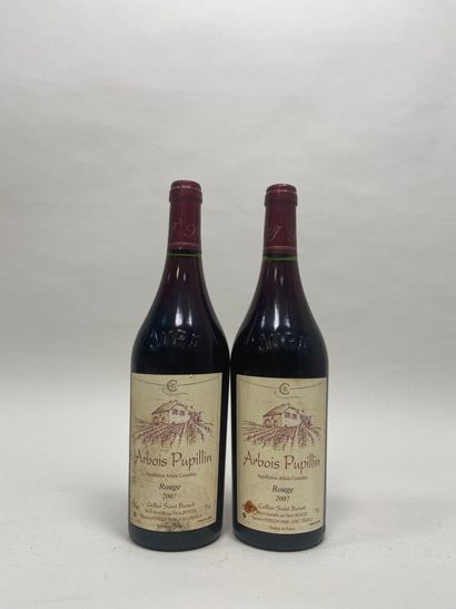 ARBOIS PUPILLIN. Cellier Saint Benoit. Red....