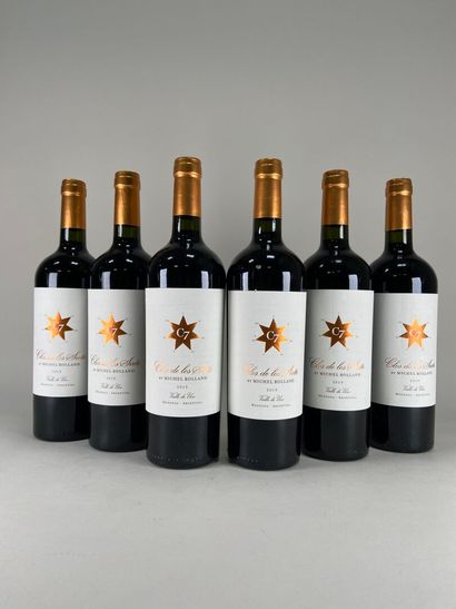 MENDOZA. Clos de los Siete. Michel Rolland....