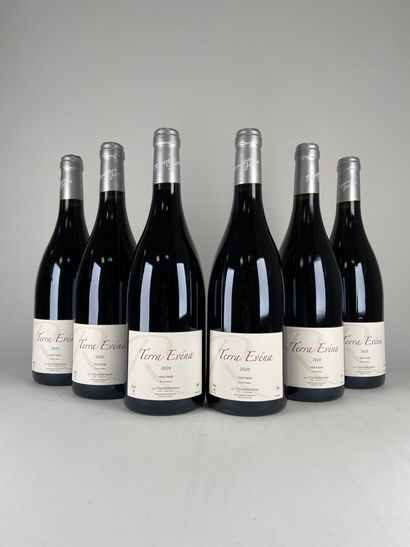 VIN DE FRANCE. Terra Evéna Rousseau Frères....