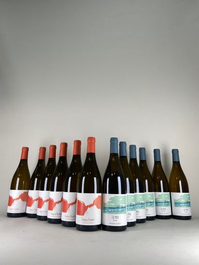 MUSCADET. Domaine de la Fessardière.
- Coup...