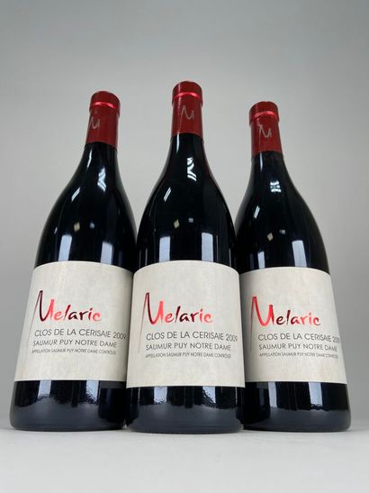 SAUMUR PUY NOTRE DAME. Domaine Mélaric. Clos...