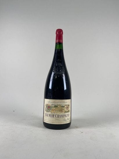 SAUMUR CHAMPIGNY. Pierre Chanau. 2000. 1...