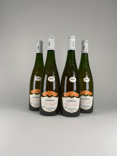 COTEAUX DU LAYON SAINT LAMBERT. Domaine Cesbron....