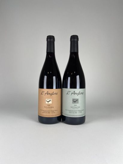 VIN DE FRANCE. L'Anglore. 2020 :
- Terre...