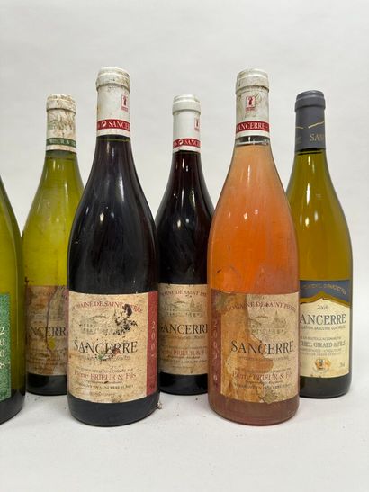 SANCERRE. Domaine de Saint Pierre : 
- Blanc....