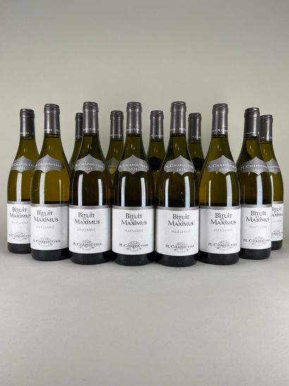RHODANIAN HILLS. M. Chapoutier. Bituit et...