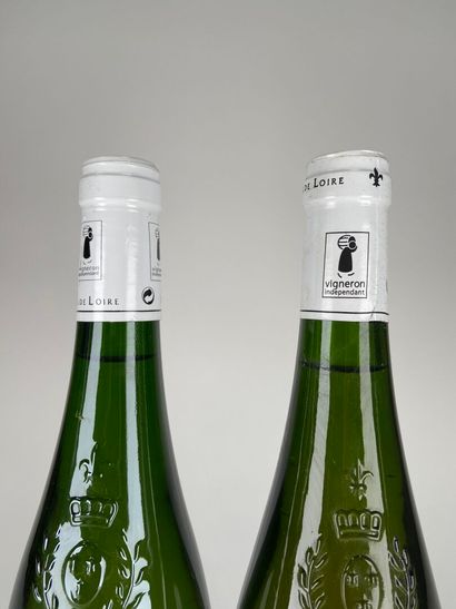 SAVENNIERES ROCHE AUX MOINES. Domaine aux...