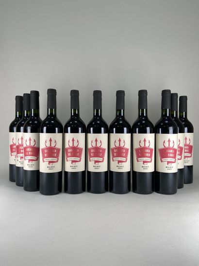 MENDOZA. Garganta Del Diablo. Malbec. 2021....