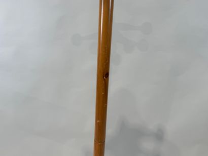 Porte-manteau en pin teinté à six patères.
H....
