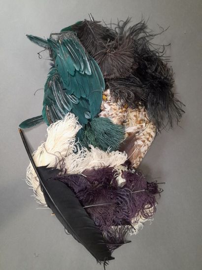Lot of various feathers including ostric...