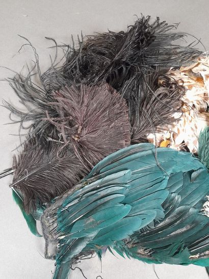 Lot of various feathers including ostric...