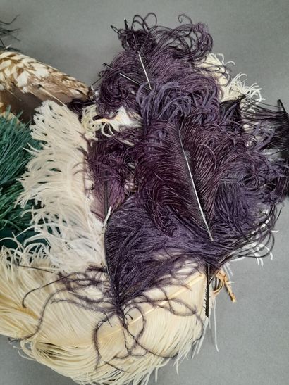 Lot of various feathers including ostric...
