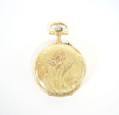 Two-tone 18K yellow gold collar watch, mechanical...