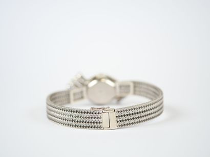 UTI.
Ladies' jewelry watch, 18K white gold...
