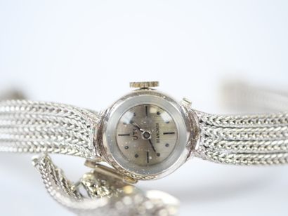 UTI.
Ladies' jewelry watch, 18K white gold...