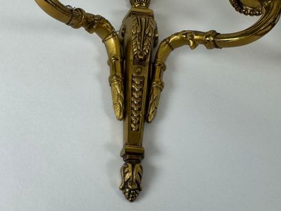 Paire d'appliques en bronze doré à deux bras...