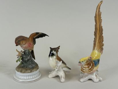 Manufacture Karl ENS (XXe).
Lot de deux oiseaux...