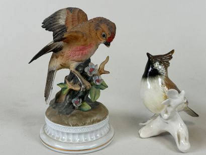 Manufacture Karl ENS (XXe).
Lot de deux oiseaux...