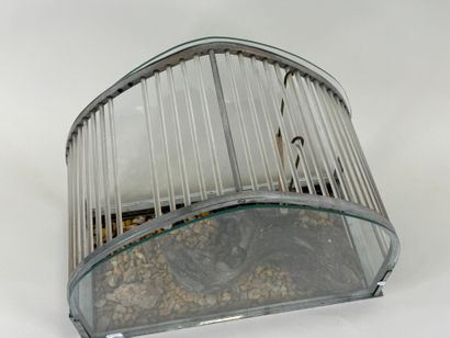 Small cage in chromed metal and glass.
34...
