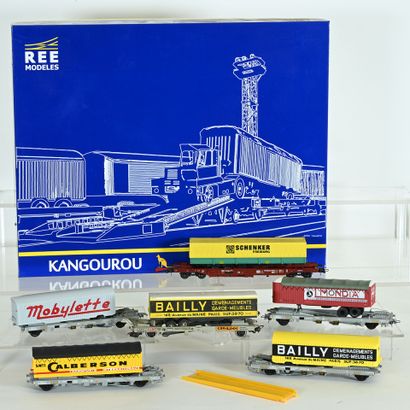Kangaroo Ho set, REE models, assortments...