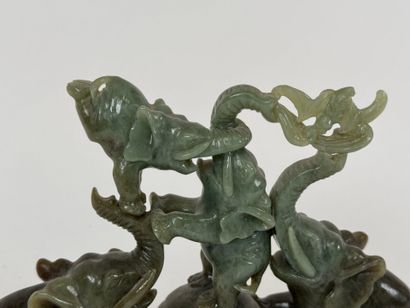 ASIA, 20th century.
Elephants and ball.
Subject...