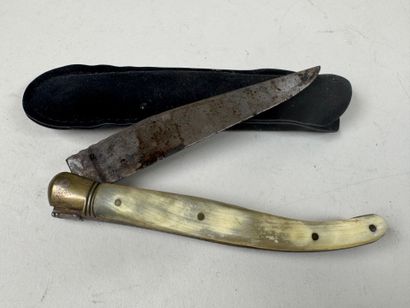 G. DAVID.
Laguiole knife in horn and metal.
L....