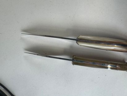 Set of 6 knives with horn and wood handles,...