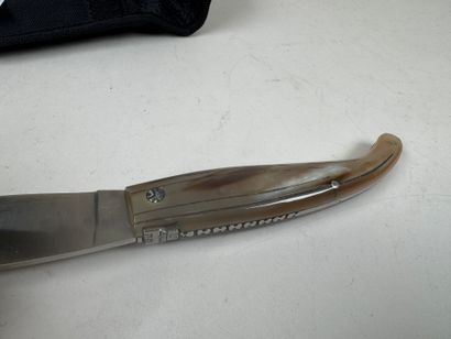 SALADINI.
Folding knife in horn and metal.
L....