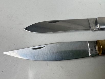 Two folding knives in horn and ivory, metal...