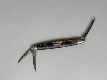 Pocket knife with tortoiseshell plates concealing...