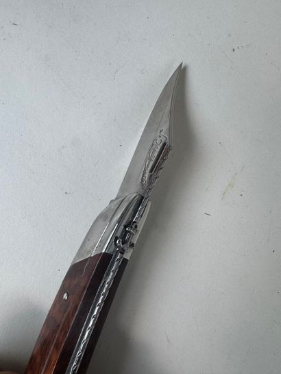 Set of 8 knives, 7 with wooden handles, most...