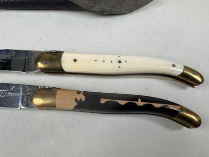 LAGUIOLE.
Two knives in wood and ivory.
L....