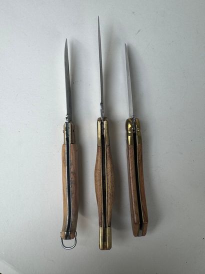 Set of 10 knives with wooden handles, including...