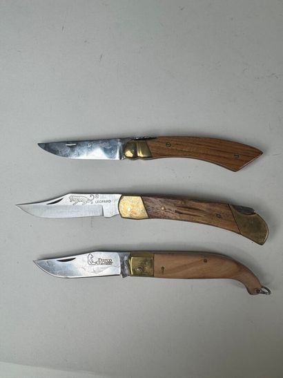 Set of 10 knives with wooden handles, including...