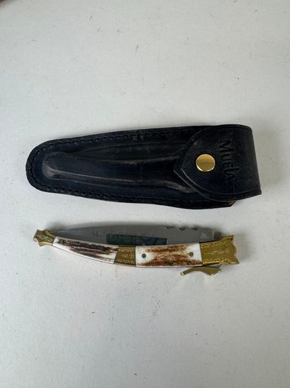 Set of 6 knives with horn and wood handles,...