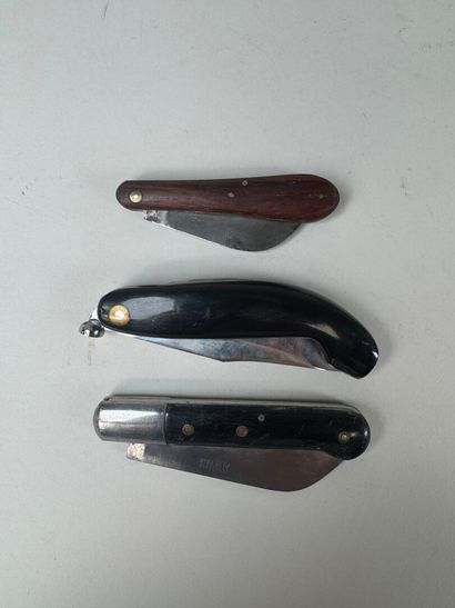 Set of 13 knives with horn, wood or mother-of-pearl...
