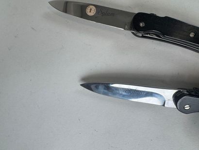 Set of 6 knives with horn and wood handles,...