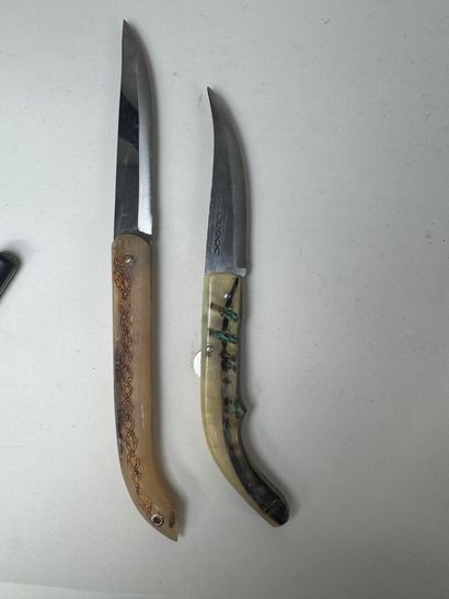 Set of 13 knives with horn, wood or mother-of-pearl...