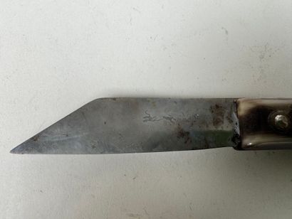 Small folding pocket knife in horn and metal,...