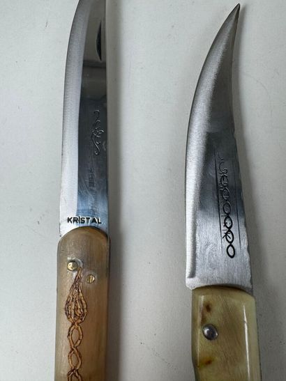 Set of 13 knives with horn, wood or mother-of-pearl...