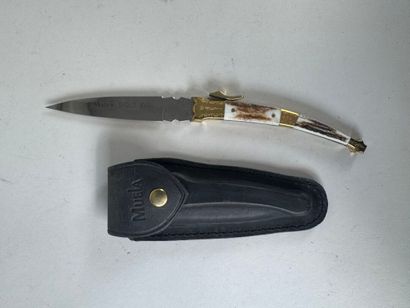 Set of 6 knives with horn and wood handles,...